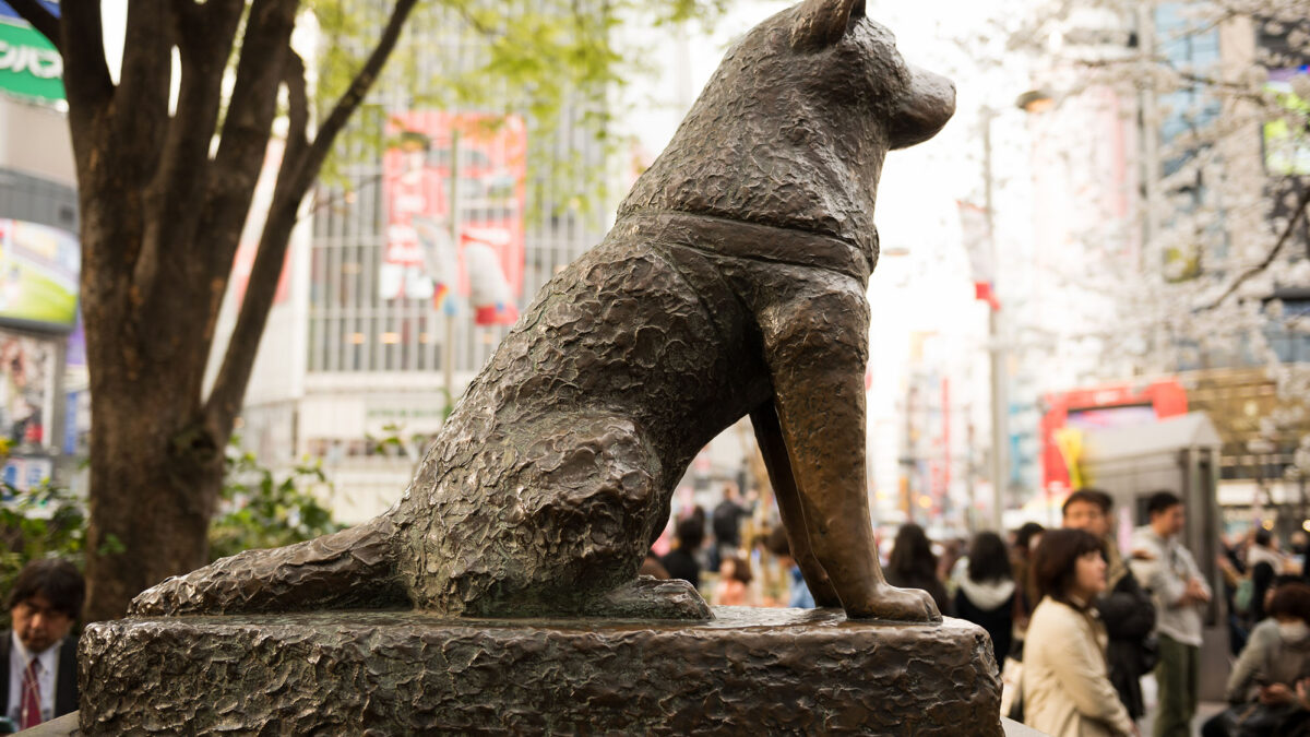 Statua di Hachikō a Shibuya, Tokyo