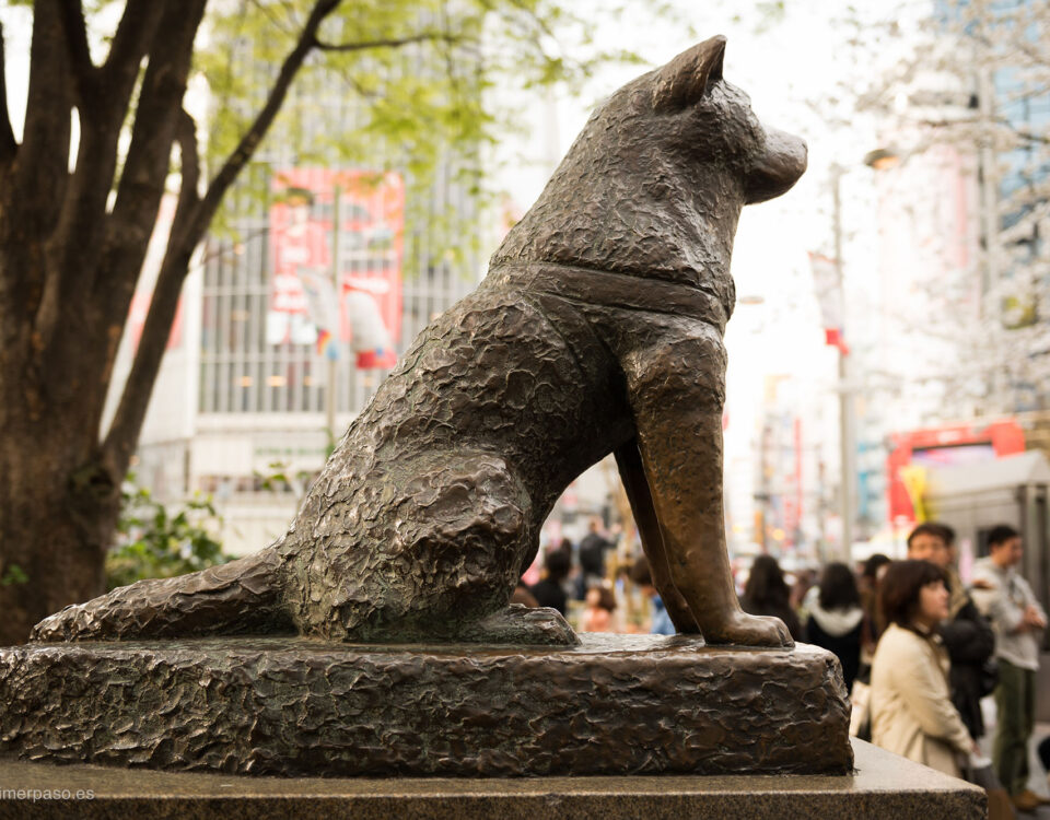 Statua di Hachikō a Shibuya, Tokyo