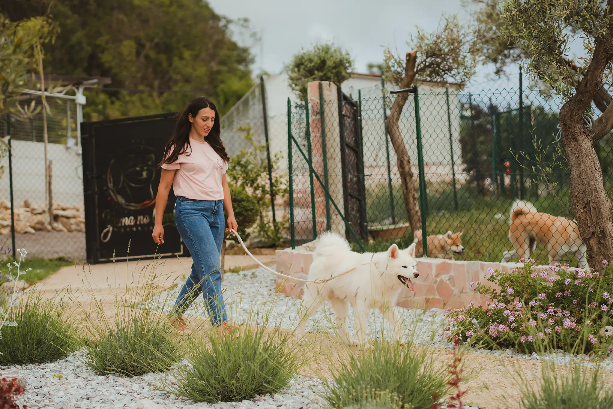 Giorgia passeggia con due Akita nella struttura Yama no Kami Kensha